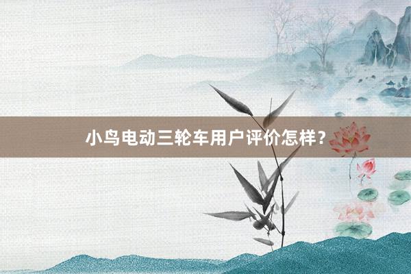 小鸟电动三轮车用户评价怎样？